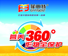 視(shì)頻(pín)欣賞22